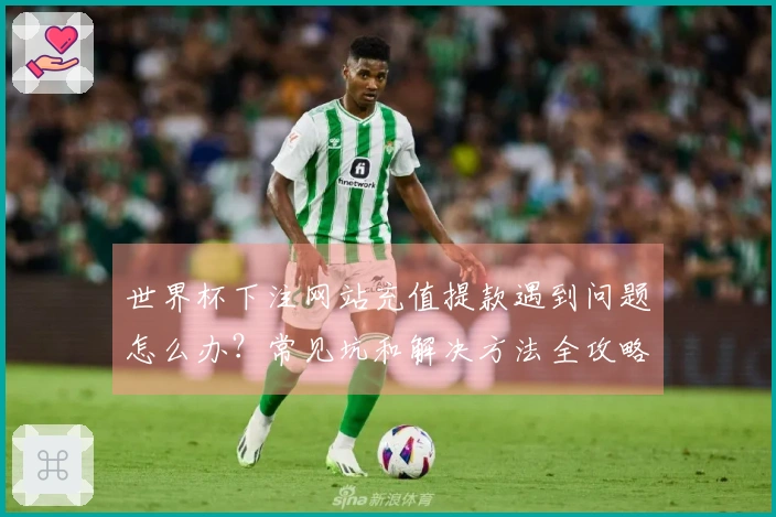 世界杯下注网站充值提款遇到问题怎么办？常见坑和解决方法全攻略