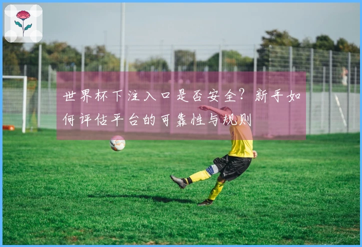 世界杯下注入口是否安全？新手如何评估平台的可靠性与规则
