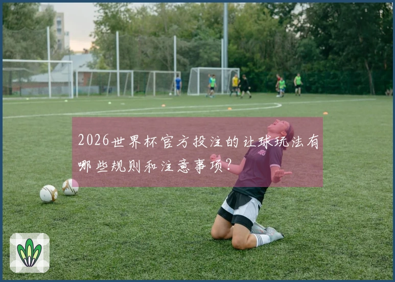 2026世界杯官方投注的让球玩法有哪些规则和注意事项？
