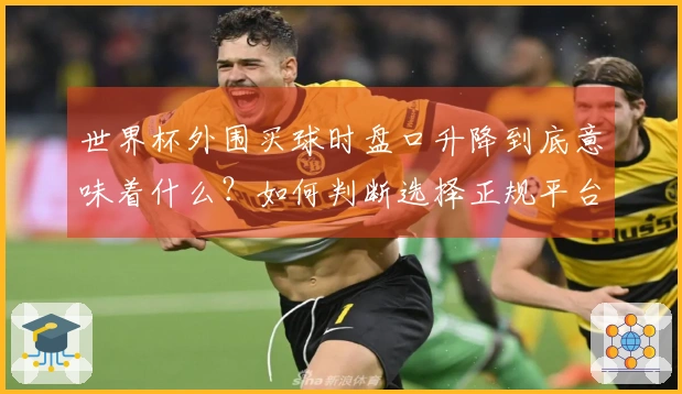 世界杯外围买球时盘口升降到底意味着什么？如何判断选择正规平台？