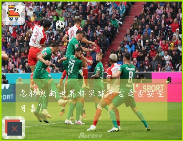 怎样判断世界杯买球平台是否安全可靠？