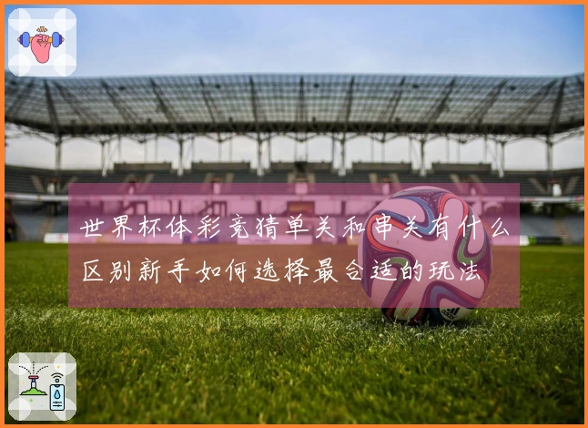 世界杯体彩竞猜单关和串关有什么区别新手如何选择最合适的玩法