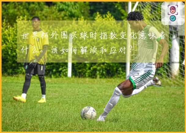 世界杯外围买球时指数变化意味着什么，该如何解读和应对？