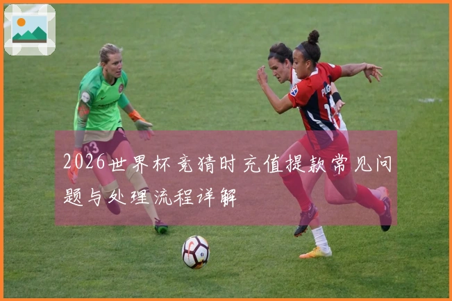 2026世界杯竞猜时充值提款常见问题与处理流程详解