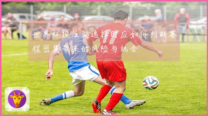 世界杯投注站选择时应如何判断赛程密集带来的风险与机会