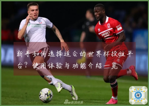 新手如何选择适合的世界杯投注平台？使用体验与功能介绍一览