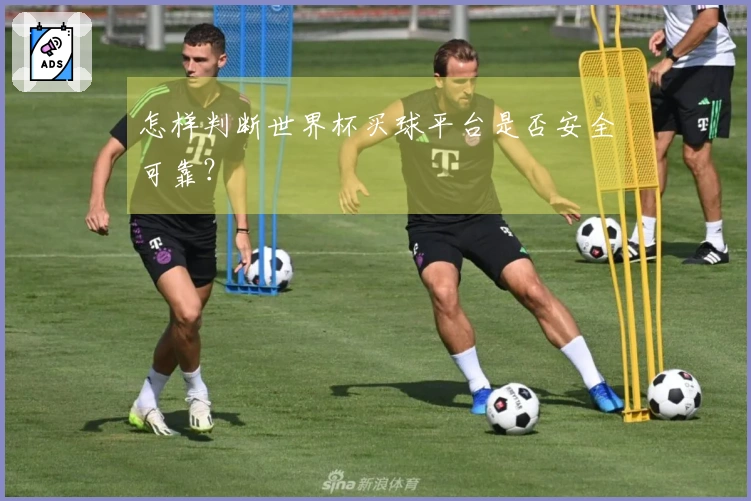 怎样判断世界杯买球平台是否安全可靠？