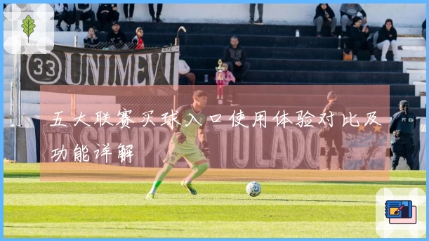五大联赛买球入口使用体验对比及功能详解