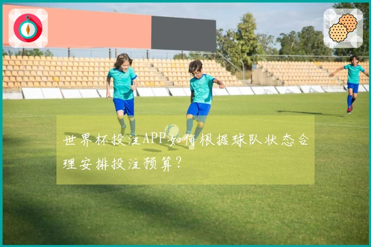世界杯投注APP如何根据球队状态合理安排投注预算？