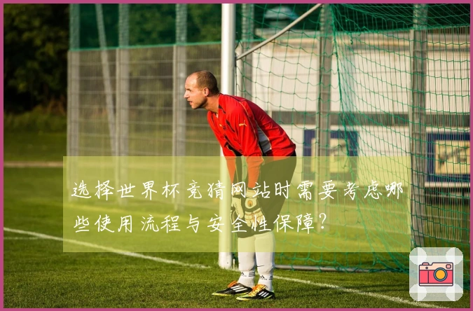 选择世界杯竞猜网站时需要考虑哪些使用流程与安全性保障？