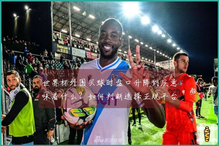 世界杯外围买球时盘口升降到底意味着什么？如何判断选择正规平台？