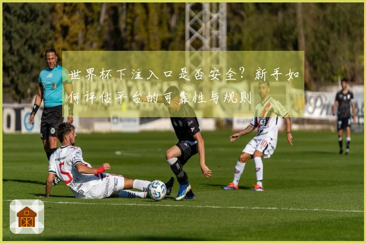 世界杯下注入口是否安全？新手如何评估平台的可靠性与规则