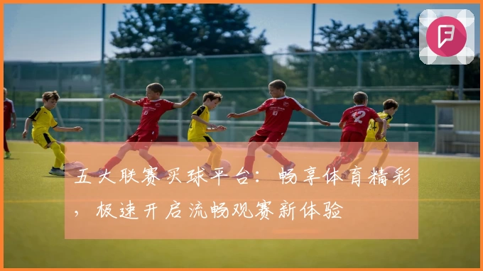 五大联赛买球平台：畅享体育精彩，极速开启流畅观赛新体验