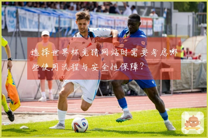 选择世界杯竞猜网站时需要考虑哪些使用流程与安全性保障？