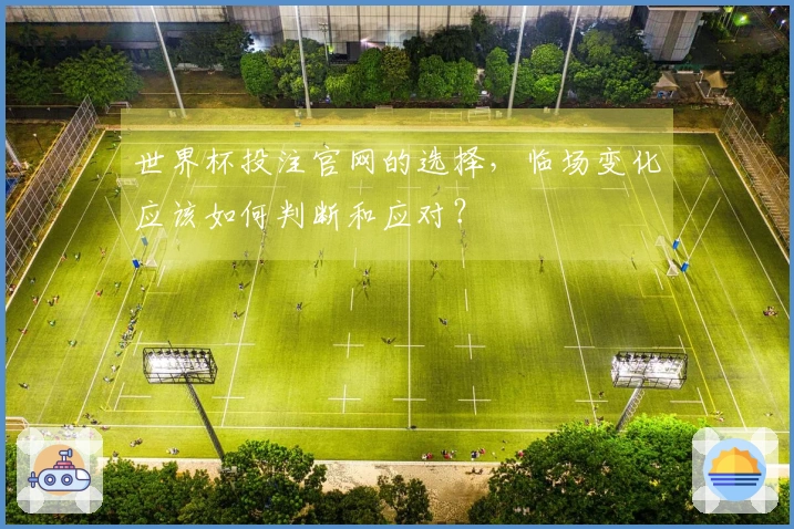 世界杯投注官网的选择，临场变化应该如何判断和应对？
