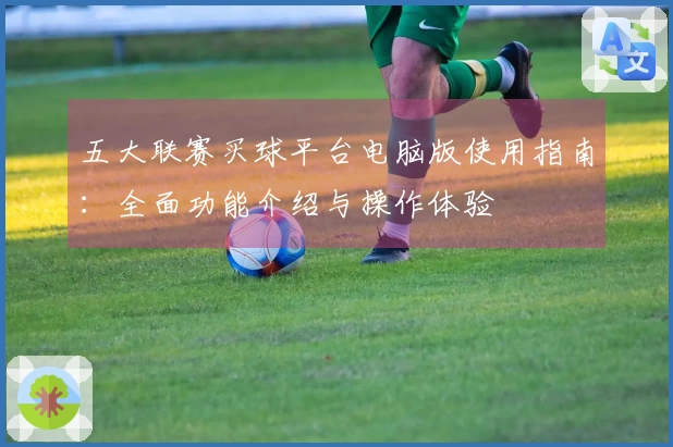 五大联赛买球平台电脑版使用指南：全面功能介绍与操作体验